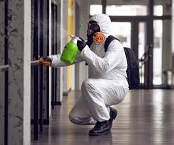 Best Residential Mold Inspection & Testing in Beverly, NJ